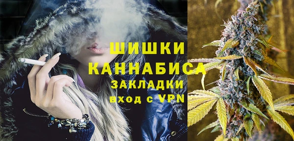 спиды Богородицк