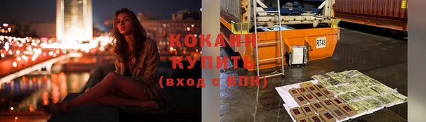 спиды Богородицк