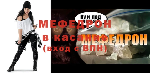 спиды Богородицк