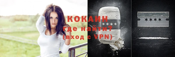 прущий лед Богданович
