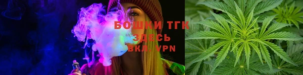 спиды Богородицк
