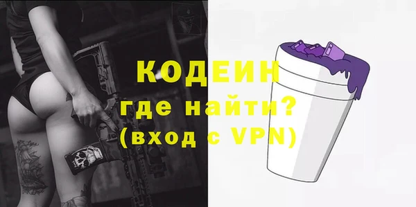 спиды Богородицк