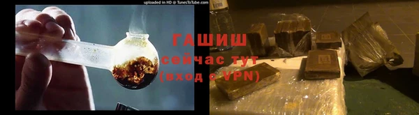 спиды Богородицк