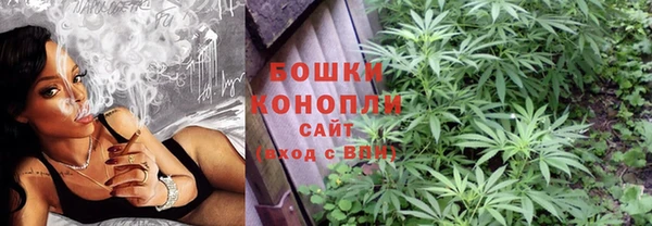 прущий лед Богданович