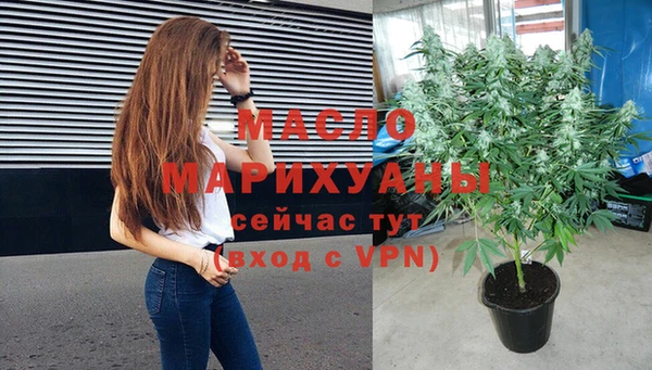 прущий лед Богданович