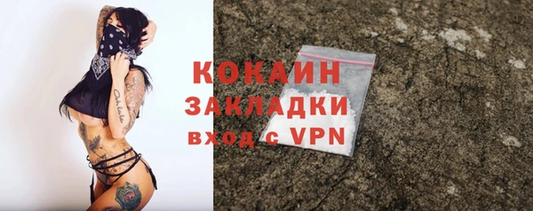 спиды Богородицк