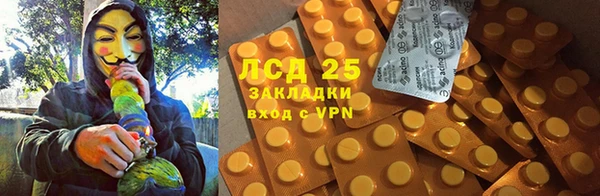 спиды Богородицк