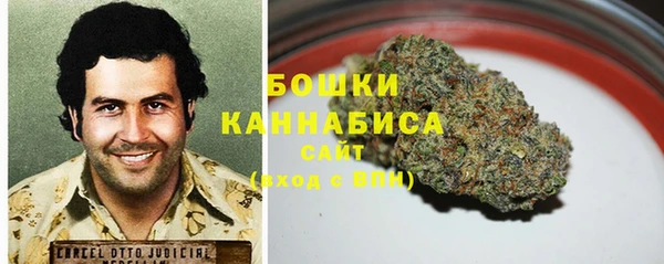 спиды Богородицк