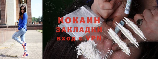 прущий лед Богданович